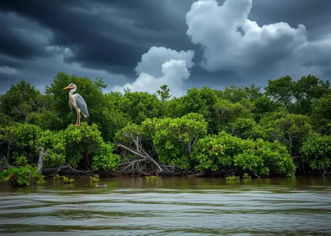 Storm Effects on Fort Myers Wildlife