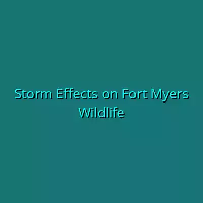 Storm Effects on Fort Myers Wildlife