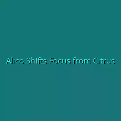 Alico Shifts Focus from Citrus