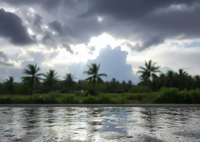 Fort Myers: Showers and Storms Ahead