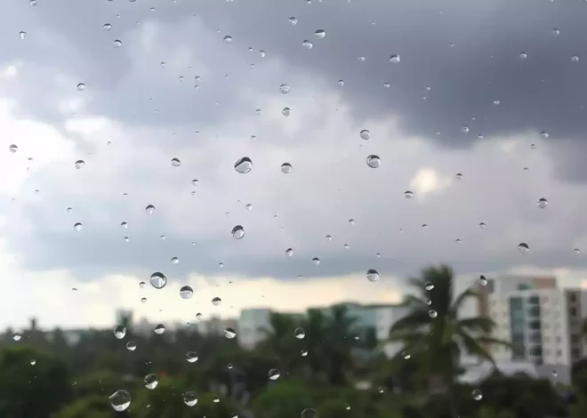 Fort Myers: Scattered Showers Ahead